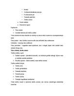 Konspekts 'Tiesību teorija', 3.