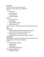 Konspekts 'Tiesību teorija', 8.