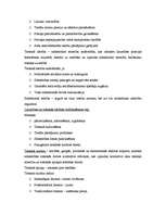 Konspekts 'Tiesību teorija', 11.