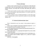 Referāts 'Izejošā un ienākošā tūrisma attīstības raksturojums Latvijas tūrisma tirgū', 4.