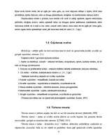 Referāts 'Izejošā un ienākošā tūrisma attīstības raksturojums Latvijas tūrisma tirgū', 6.