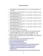 Referāts 'Izejošā un ienākošā tūrisma attīstības raksturojums Latvijas tūrisma tirgū', 22.