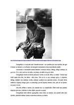 Konspekts 'Vizuālās uztveres un analīzes specifika. Fotogrāfijas analīze', 2.