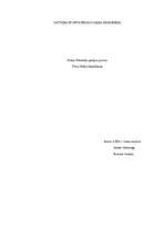 Referāts 'Brūču klasifikācija', 1.