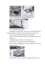 Referāts 'Brūču klasifikācija', 5.