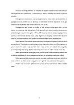 Referāts 'Brūču klasifikācija', 7.