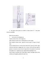 Referāts 'Brūču klasifikācija', 8.