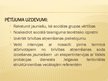 Diplomdarbs 'Jauniešu likumpārkāpēju brīvības atņemšanas soda subjektīvā izpratne', 55.