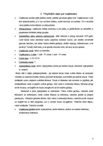 Prakses atskaite 'Prakses atskaite restorānā "Lielais Kīņas mūris"', 4.