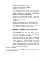 Prakses atskaite 'Prakses atskaite restorānā "Lielais Kīņas mūris"', 19.