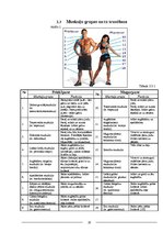 Referāts 'Kultūrisms - tā popularitāte, nozīme un sekas', 18.