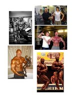 Referāts 'Kultūrisms - tā popularitāte, nozīme un sekas', 44.