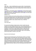 Prezentācija 'Prezentācija par silikātu rūpniecību', 11.