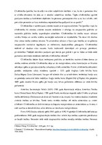 Referāts 'Cilvēktiesības', 2.