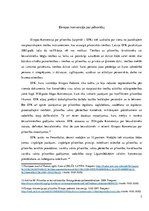 Referāts 'Cilvēktiesības', 7.