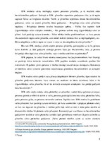 Referāts 'Cilvēktiesības', 8.