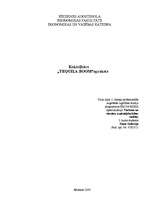 Biznesa plāns 'Kokteiļbāra "Tequila Boom" apraksts', 1.