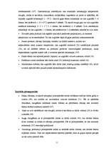 Biznesa plāns 'Kokteiļbāra "Tequila Boom" apraksts', 11.