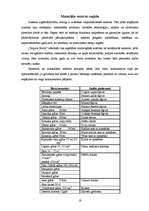 Biznesa plāns 'Kokteiļbāra "Tequila Boom" apraksts', 16.