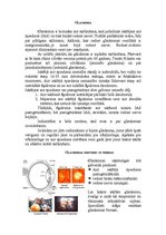 Referāts 'Iedzimtā glaukoma', 2.