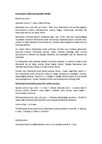 Konspekts 'Renesanses laika komponistu skolas', 1.