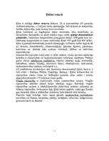 Referāts 'Ķīna', 5.