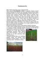 Referāts 'Ķīna', 6.