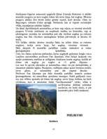 Referāts 'Ķīna', 13.