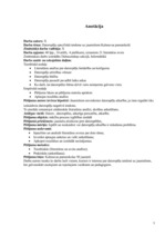 Referāts 'Informātika', 3.