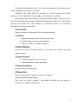 Referāts 'Informātika', 6.