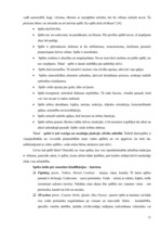 Referāts 'Informātika', 11.