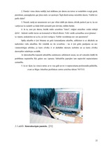 Referāts 'Informātika', 22.