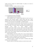 Referāts 'Informātika', 30.