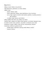 Referāts 'Inflācija', 15.