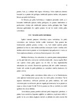 Referāts 'Intelektuālais īpašums. Muitas kontrole', 9.