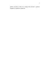 Referāts 'Intelektuālais īpašums. Muitas kontrole', 11.