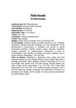 Referāts 'Eiropas Savienības (ES) dalībvalstis', 19.