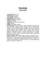 Referāts 'Eiropas Savienības (ES) dalībvalstis', 22.