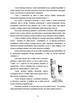 Referāts 'Ortozēšanas iespējas apakšstilba kaulu osteomielīta izraisīto ortopēdisko traucē', 22.