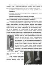 Referāts 'Ortozēšanas iespējas apakšstilba kaulu osteomielīta izraisīto ortopēdisko traucē', 23.