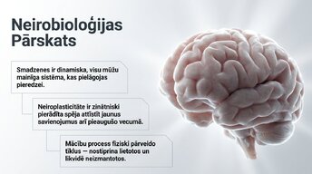 Prezentācija 'Jaunu prasmju apguves neirobioloģija', 2.