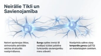 Prezentācija 'Jaunu prasmju apguves neirobioloģija', 9.