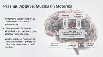 Prezentācija 'Jaunu prasmju apguves neirobioloģija', 11.