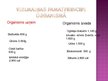Prezentācija 'Vielmaiņas nozīme dzīvajā organismā', 6.