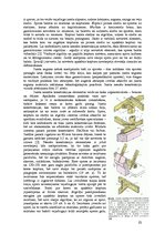 Referāts 'Jumtu veidi', 10.