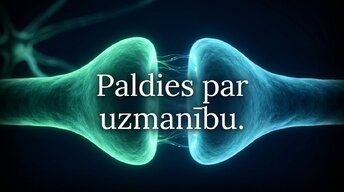 Prezentācija 'Neiroplastiskuma loma atkarības veidošanā un atveseļošanās procesā', 14.