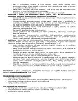 Konspekts 'Starptautiskā politika', 2.