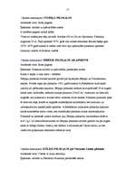 Referāts 'Tūrisma attīstības iespējas Jēkabpils rajonā', 16.