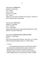 Referāts 'Tūrisma attīstības iespējas Jēkabpils rajonā', 21.