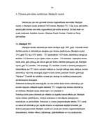 Referāts 'Tūrisma attīstības iespējas Jēkabpils rajonā', 33.